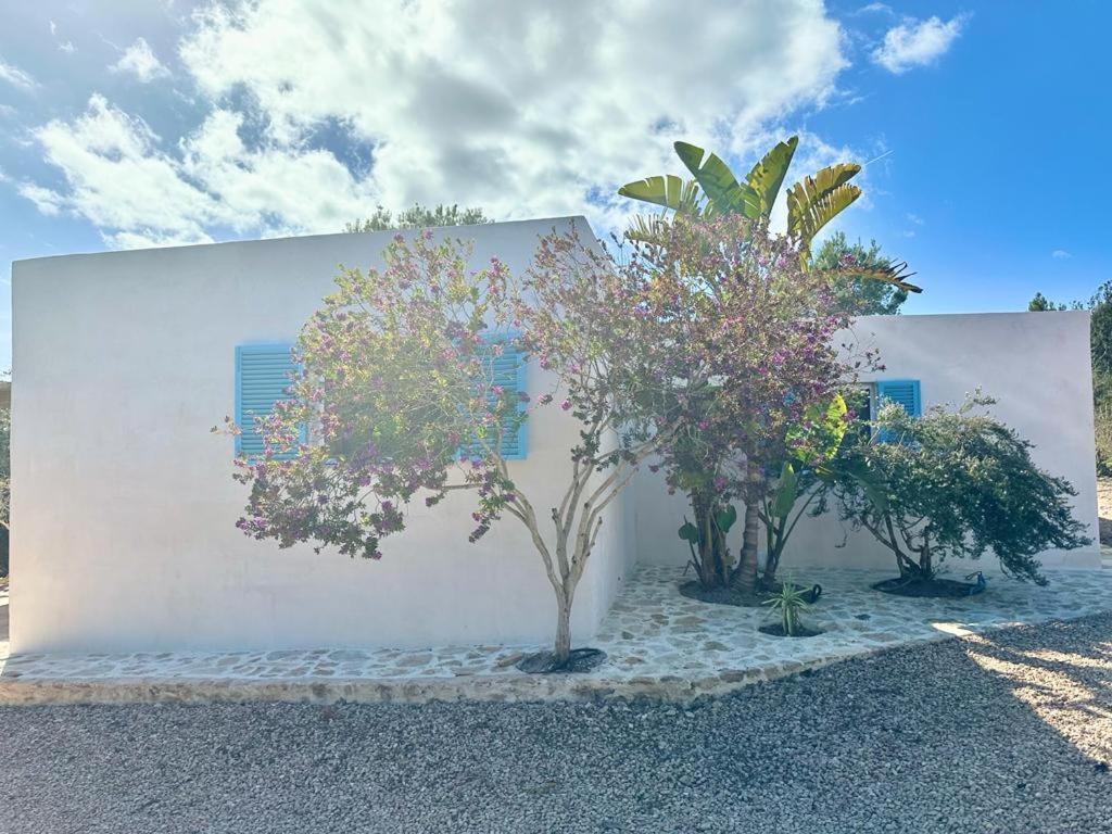 Villa Casa Rustick San Francisco Javier Exterior foto